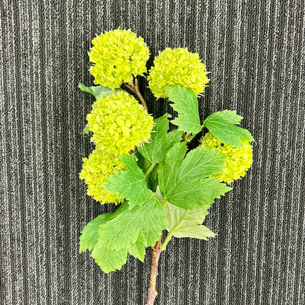 Snowball Stem - Lime Green