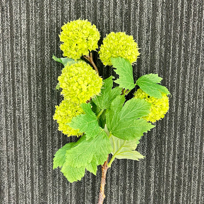 Snowball Stem - Lime Green