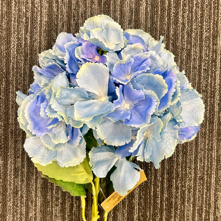 AA - Large Ball Hydrangea - Light Blue