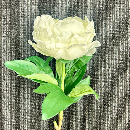 AA - Queen Peony Large (White)