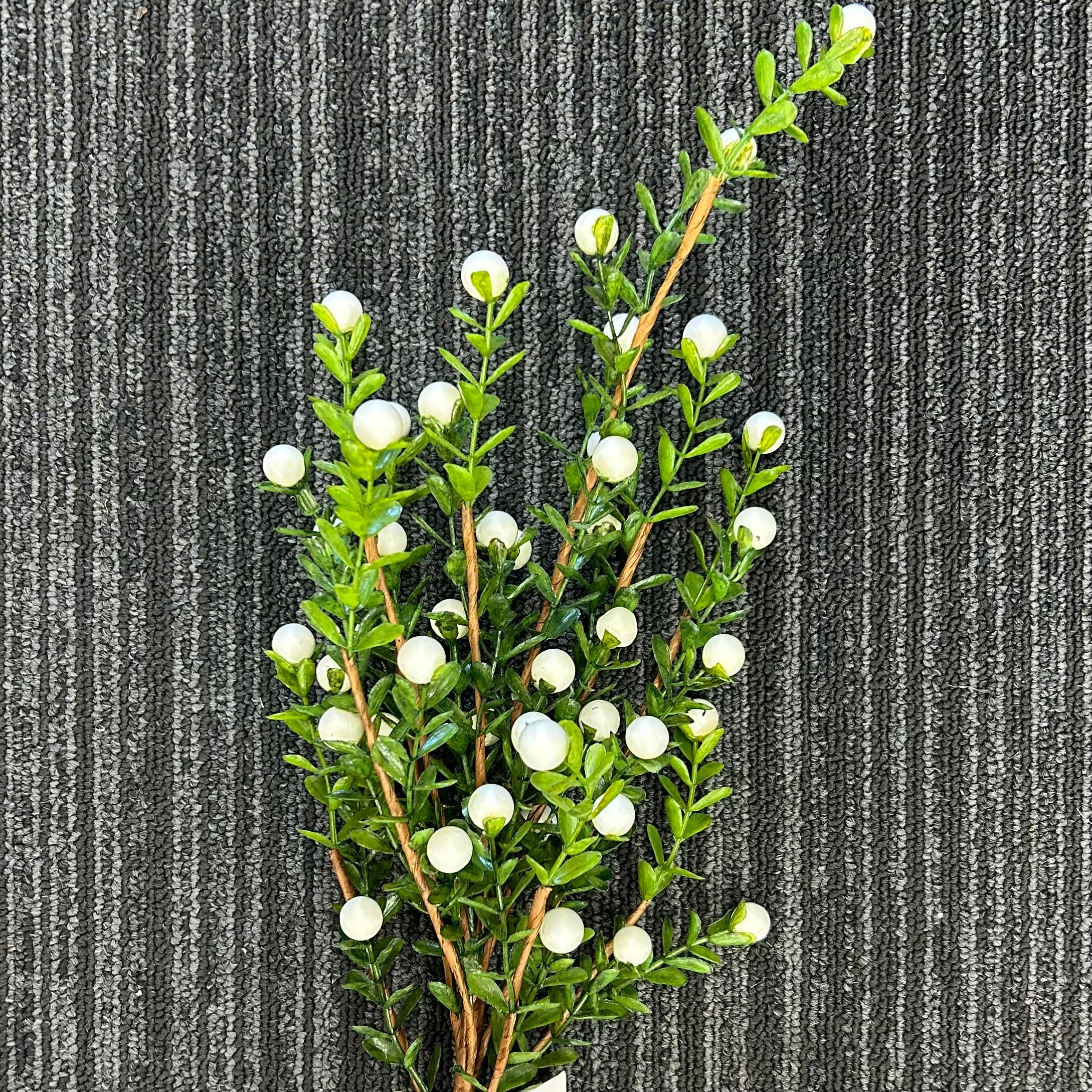 Boxwood Cherry Spray White