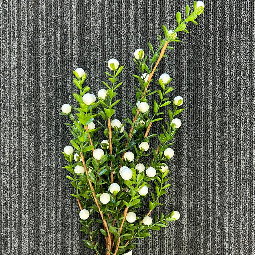Boxwood Cherry Spray White