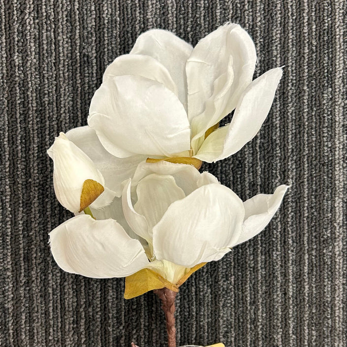AA - Spring Magnolia Cutting