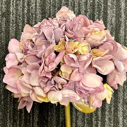 Faux Dried Hydrangea