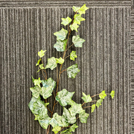 AA - Frosted Ivy Spray