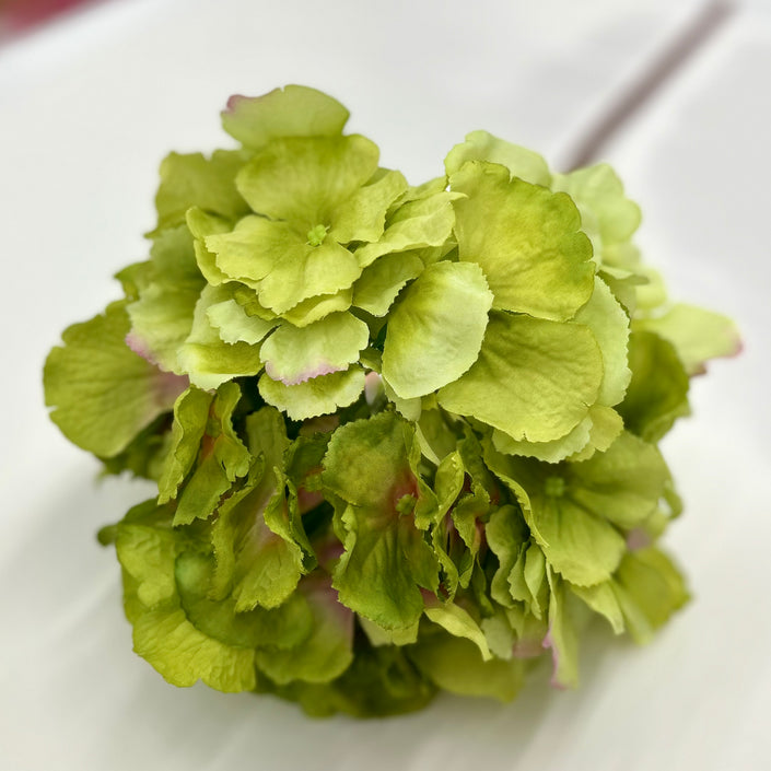 Green Hydrangea - Villa Styles