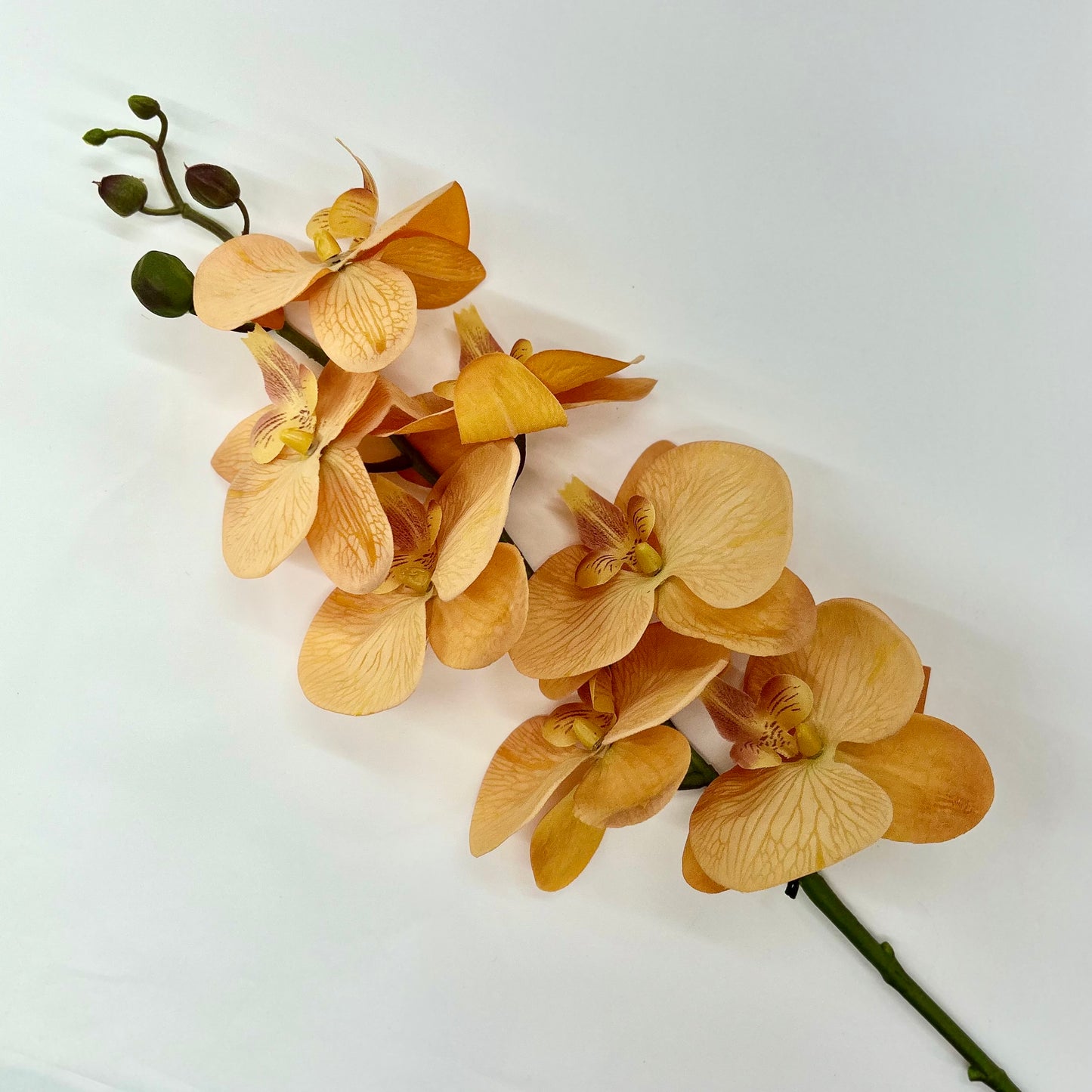 Orchid Amber - Villa Styles