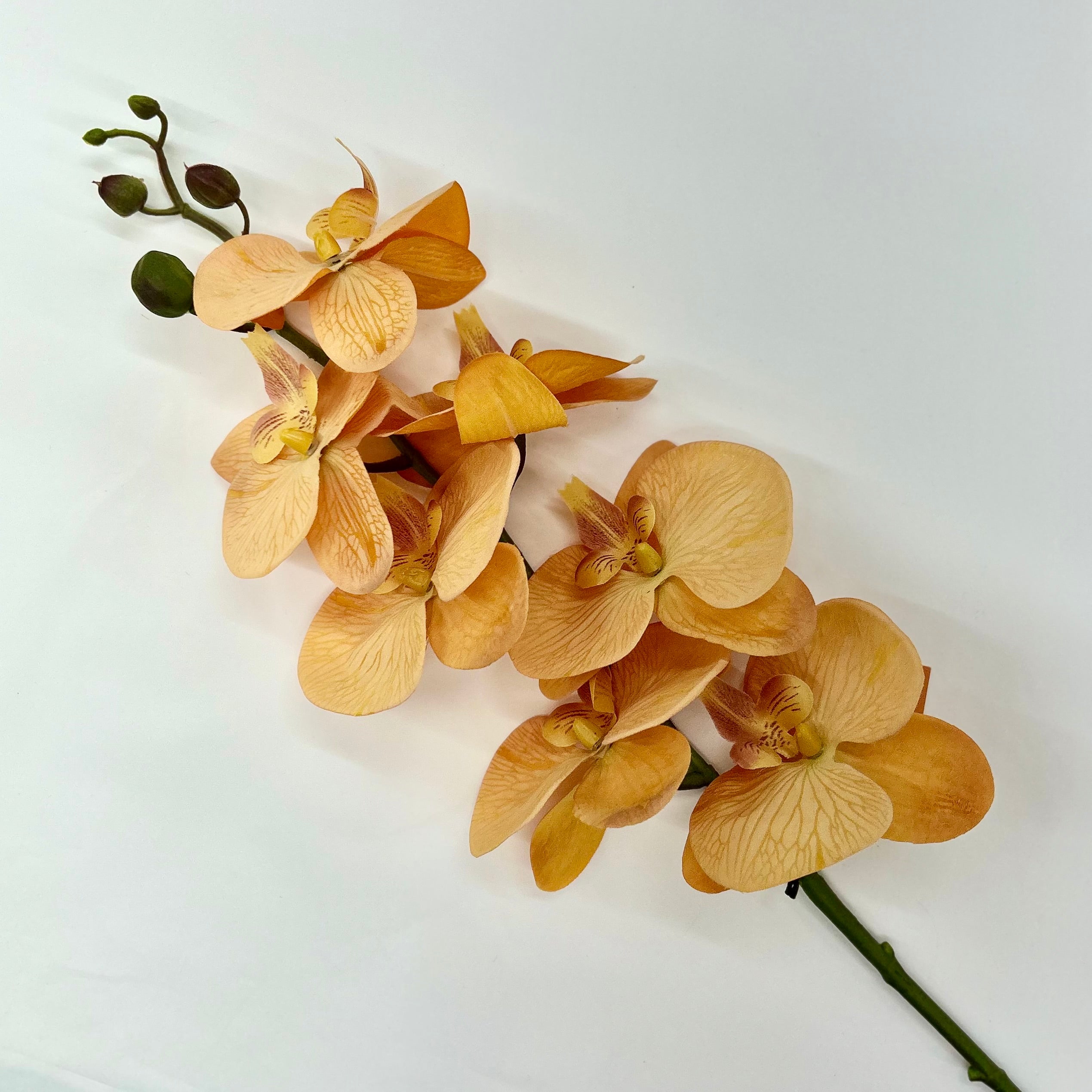 Amber Orchid - Villa Styles