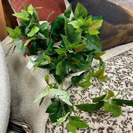 Maple Ivy Bush - Artisan Floral