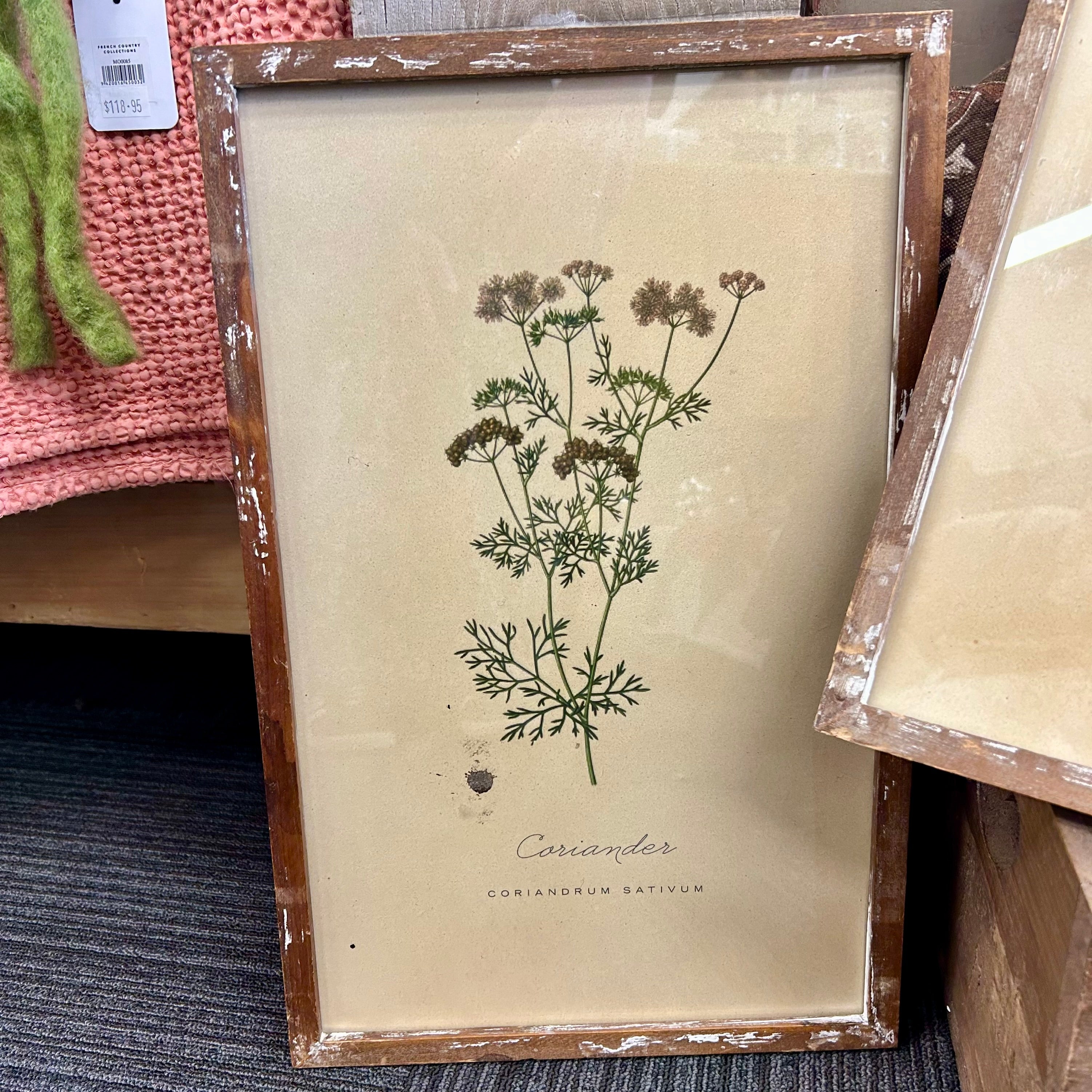 Vintage Inspired Framed Herb Print
