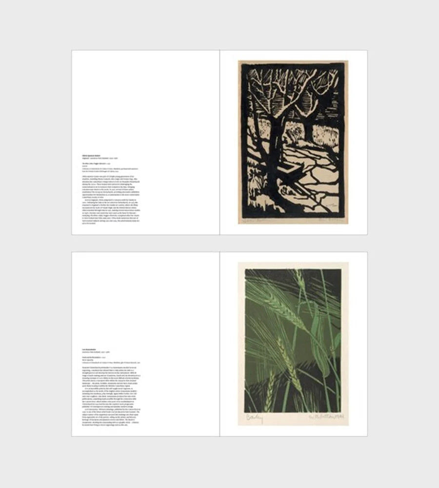 Ink on Paper 25 Pull Out Posters