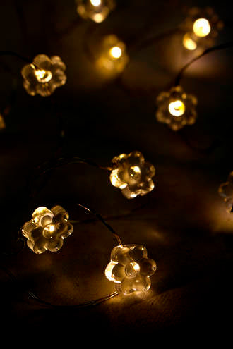 Flower Seed Light