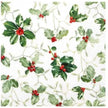 Holly & Mistletoe Napkins Pack of 20