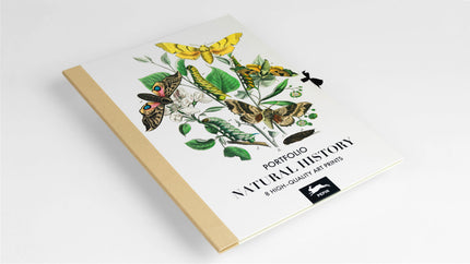 Natural History Art Prints
