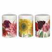 3 Flower Storage Caddies - Emma Bridgewater
