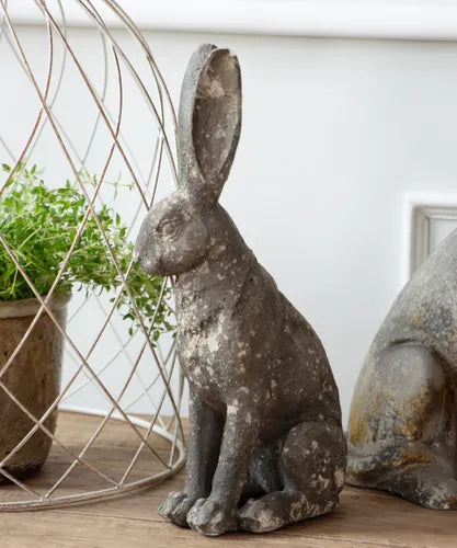 Olivia Hare
