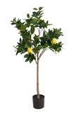 Lemon Topiary Tree in a Pot