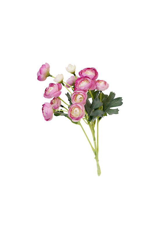 Mini Ranunculous Lilac