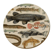 NZ Freshwater Fish Placemats-Set of 4