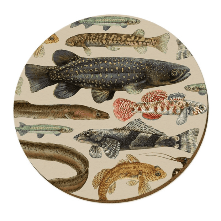 NZ Freshwater Fish Placemats-Set of 4