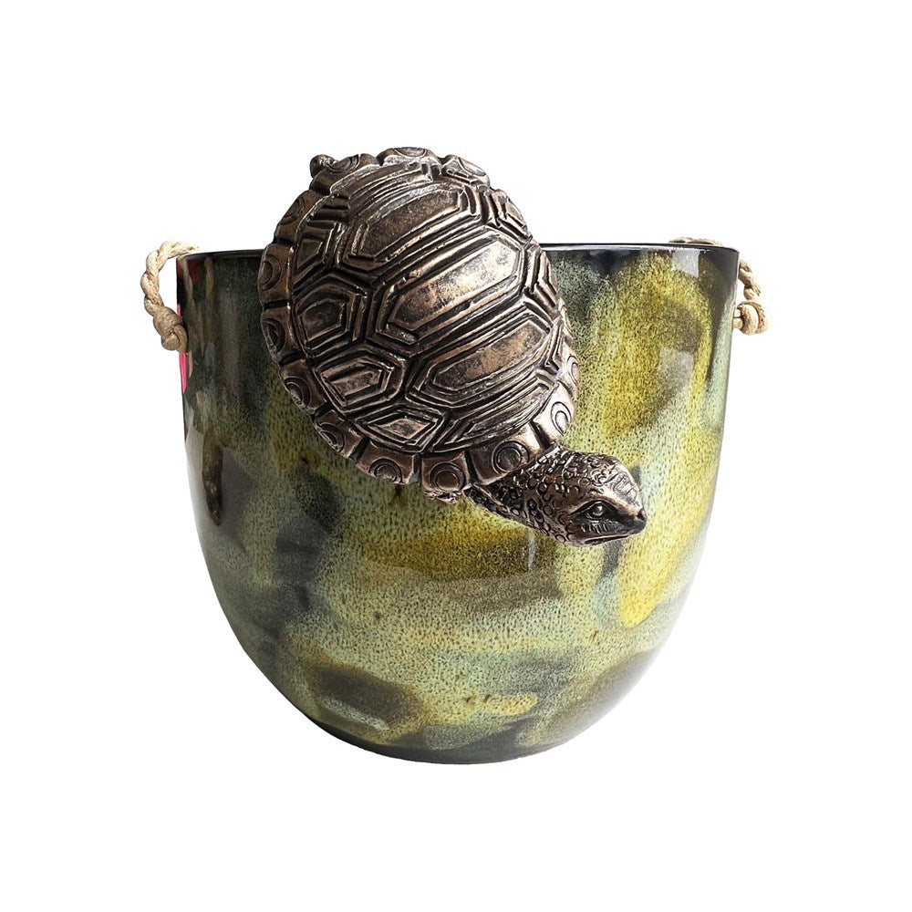 Hanging Tortoise-Various