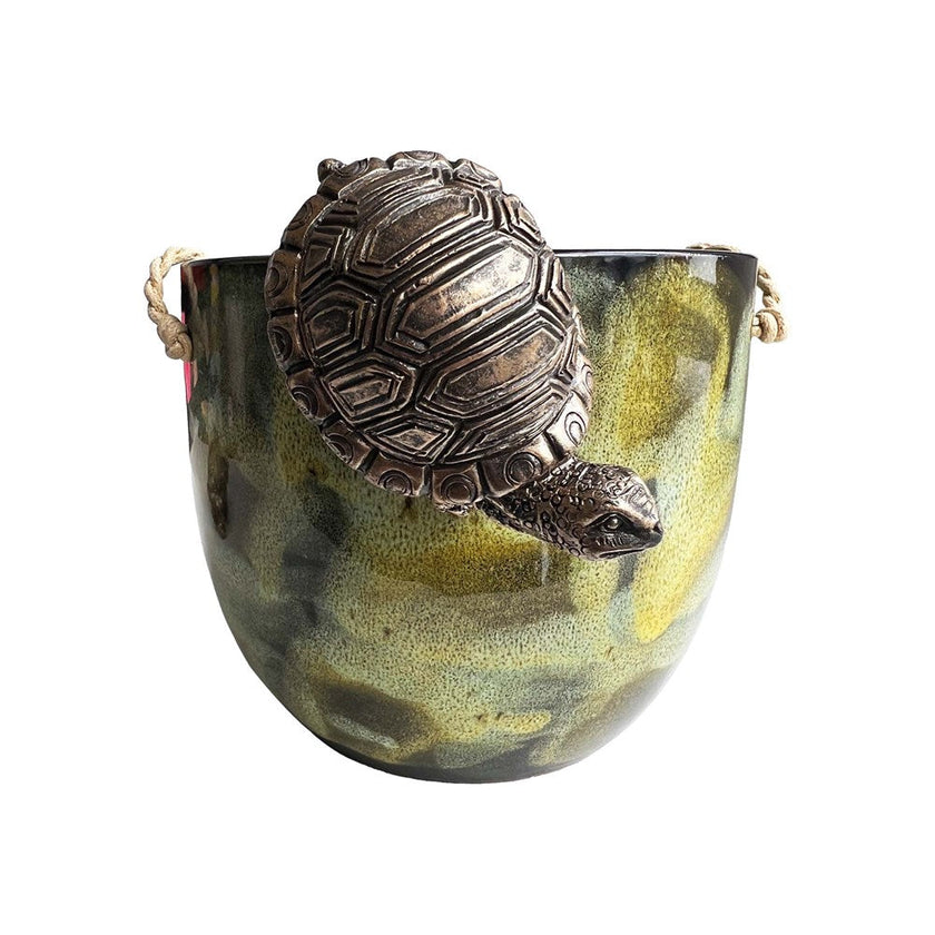 Hanging Tortoise-Various