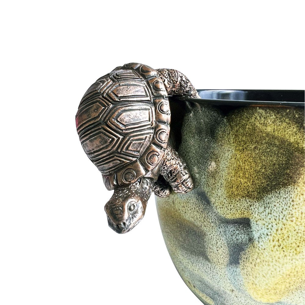 Hanging Tortoise-Various
