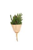 Spruce & Pinecone Bouquet - 30cm Small