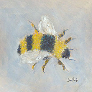 Bee Print, Unframed-Jane Haigh