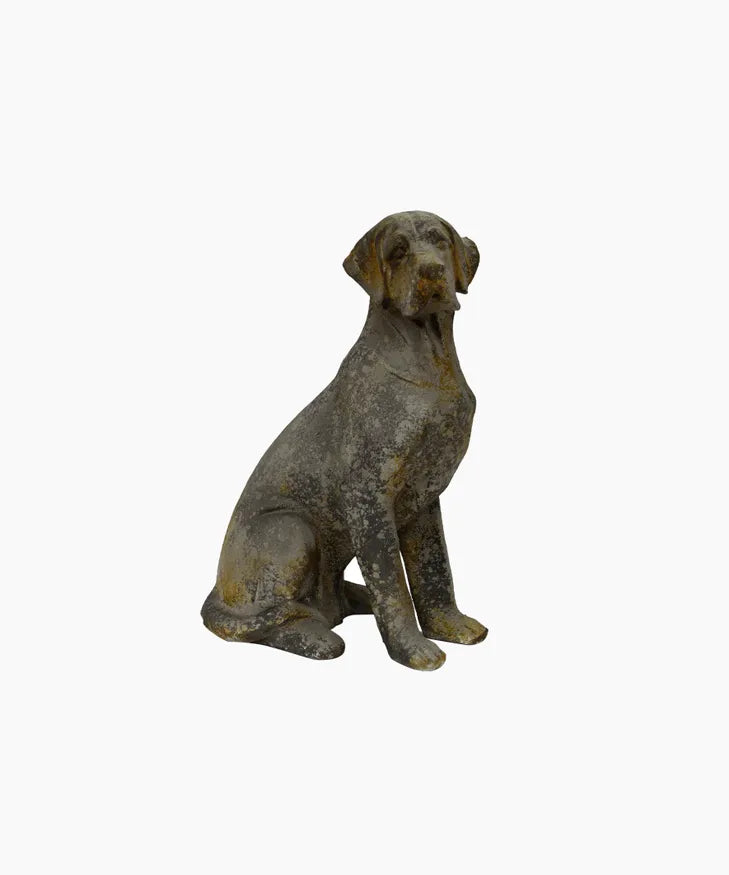Baron Dog