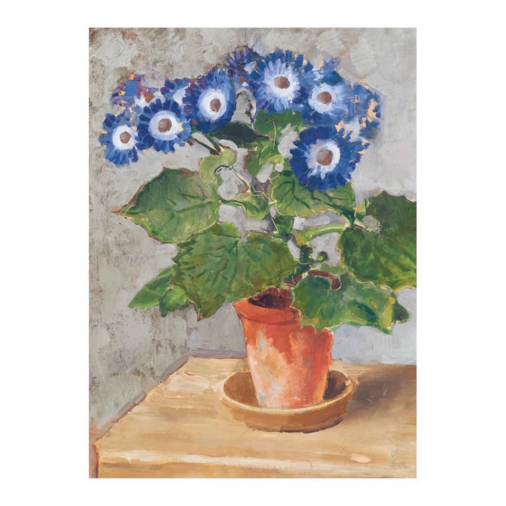 Blue Cineraria Greeting Card