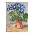 Blue Cineraria Greeting Card