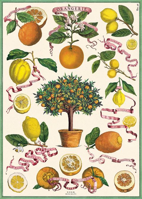 Cavallini Poster Wrap