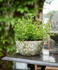 Botanical Pot by French Country Collections
