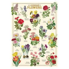 Cavallini Poster Wrap