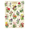 Cavallini Poster Wrap