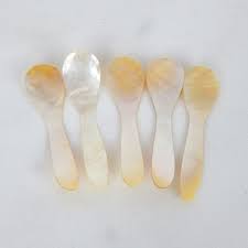 Shell Spoons