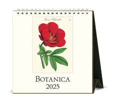 Cavallini & Co Botanica Desk Calendar 2025