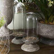 Glass Dome on Pedestal Base by French Country Collections