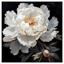 Timeless Beauty Artwork with Handpainted Detail