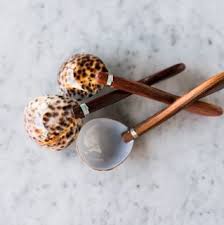 Cowrie Shell Spoon