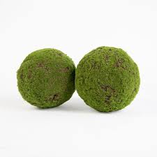 Moss Ball - Alison's Acquisitions