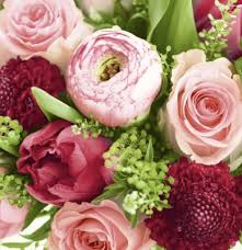 Paper + Design Napkins