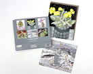 Angie Lewin - 6 Postcards