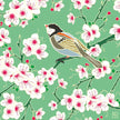 Cherry Blossom Greeting Card