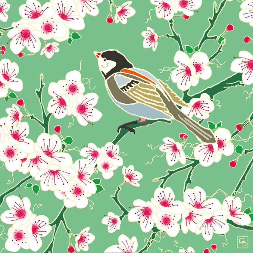 Cherry Blossom Greeting Card