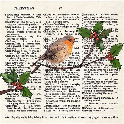 Robin and Holly Christmas card 5 pack