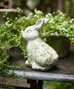Botanical Bunny Decor by French Country Collections