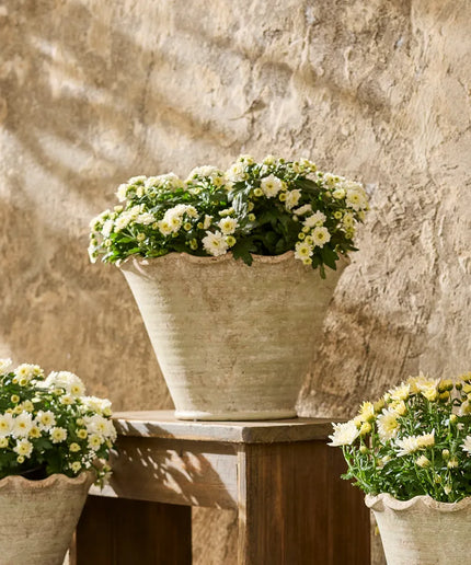 Large Wavy Planter Pot - French Country Collections