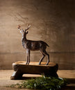 Sentinel Small Standing Deer